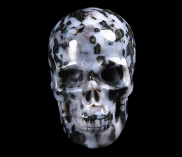 Gabbro Skull